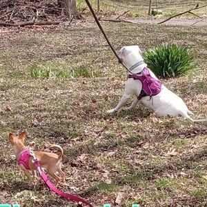 Meet your Posher, Faith